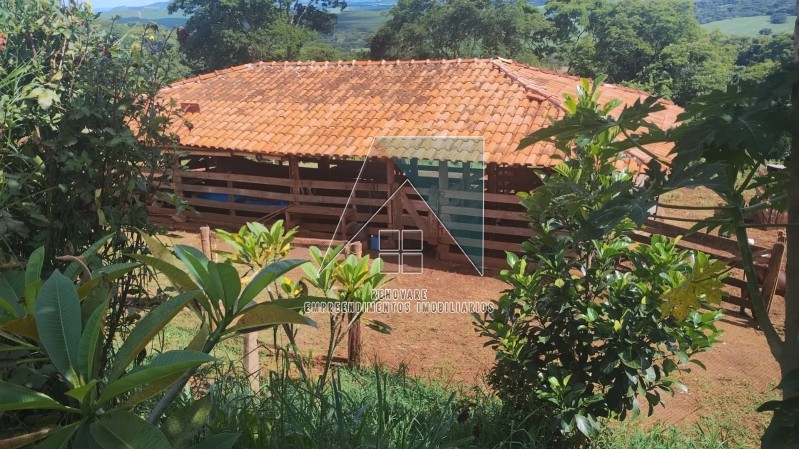 Renovare Empreendimentos Imobiliários | Imobiliária em Ribeirão Preto | Sítio - Centro - Altinópolis 