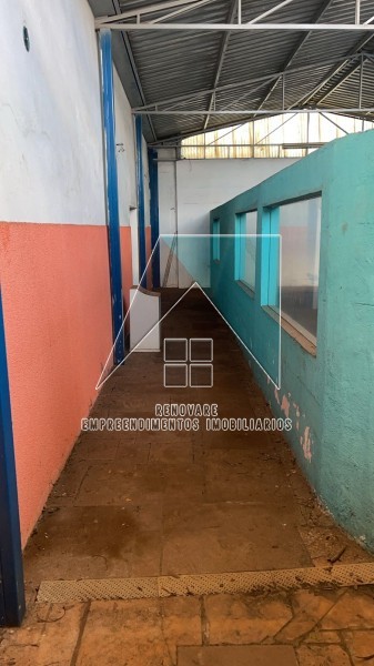 Renovare Empreendimentos Imobiliários | Imobiliária em Ribeirão Preto | Casa - Jardim Paulista - Ribeirão Preto